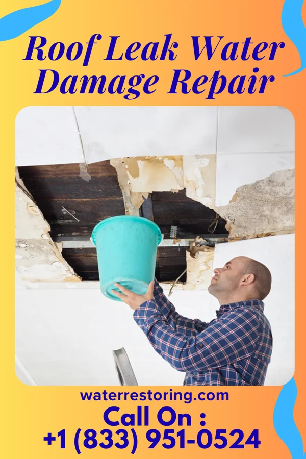 Roof Leak Water Damage Repair in Covington, LA